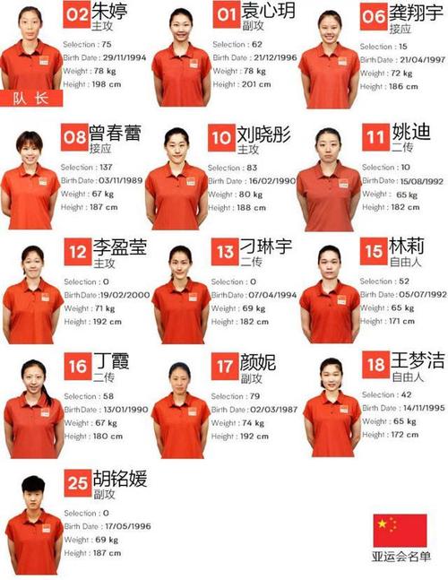 2016中国女排队员名单